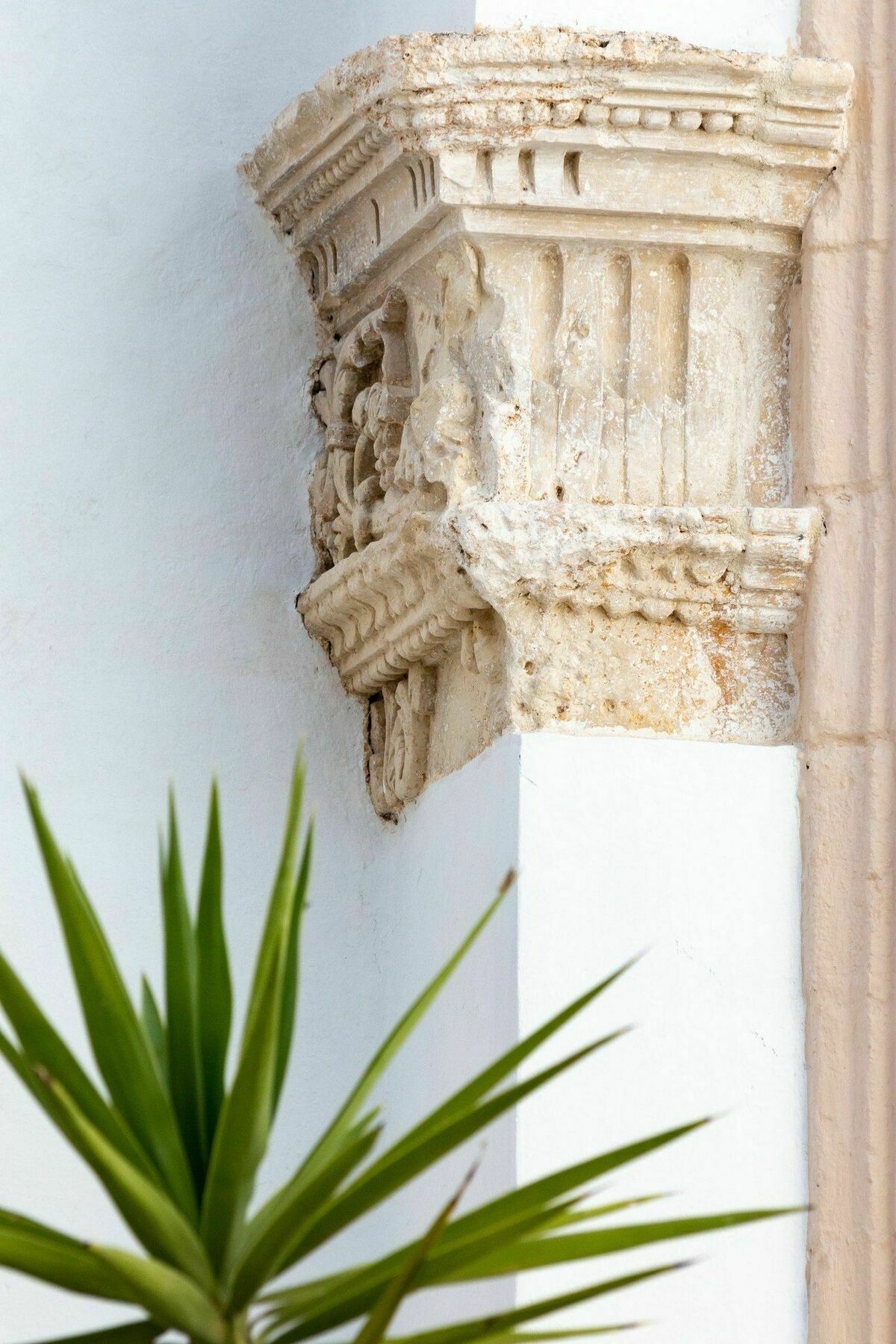Palazzo Cariddi Bed and Breakfast Nardò Εξωτερικό φωτογραφία